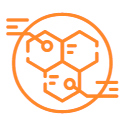 icon1 1